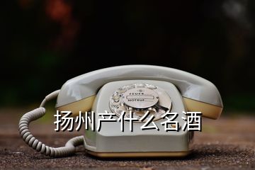 揚州產什么名酒