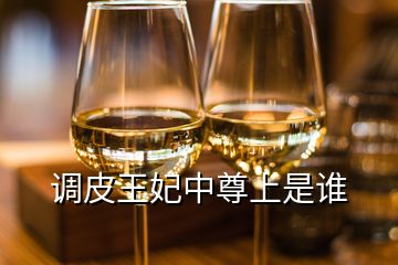 調皮王妃中尊上是誰