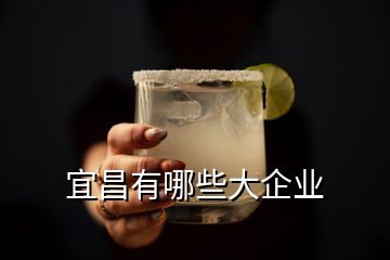 宜昌有哪些大企業