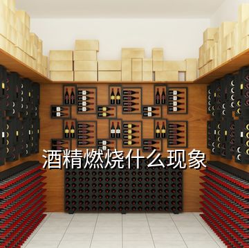 酒精燃燒什么現象