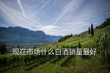 現在市場什么白酒銷量最好