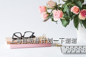 上海自助游 計劃一下謝謝