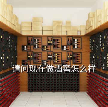 請問現在做酒窖怎么樣