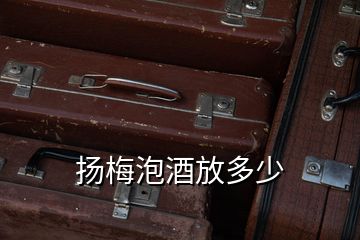 揚梅泡酒放多少