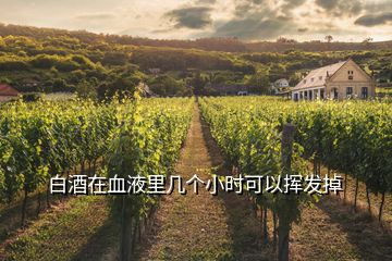 白酒在血液里幾個小時可以揮發掉