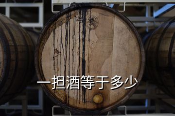 一擔酒等于多少