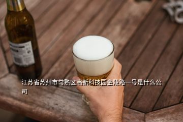 江蘇省蘇州市常熟區高新科技園金陵路一號是什么公司