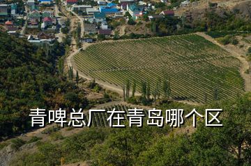 青啤總廠在青島哪個區
