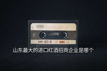 山東最大的進口紅酒招商企業是哪個