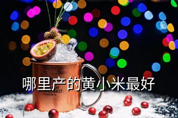 哪里產的黃小米最好