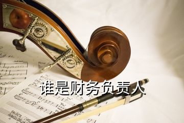 誰是財務負責人