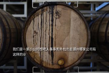 我們是一家小公司想吧人事事務外包出去湖州哪家公司有這樣的業