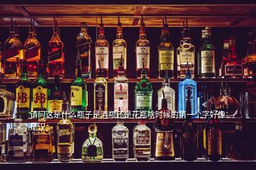 請(qǐng)問這是什么瓶子是酒瓶還是花瓶啥時(shí)候的第一個(gè)字好像是漢