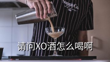 請(qǐng)問(wèn)XO酒怎么喝啊