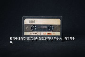 招商中證白酒指數分級現在還值得買入嗎手頭上有了幾千塊
