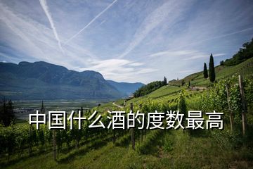中國什么酒的度數最高