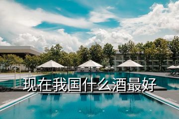 現在我國什么酒最好