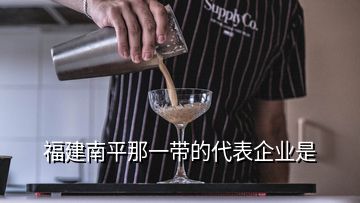 福建南平那一帶的代表企業是