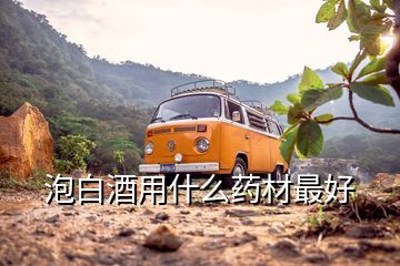 泡白酒用什么藥材最好