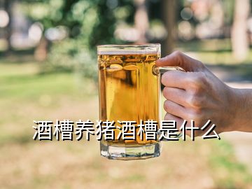 酒槽養豬酒槽是什么