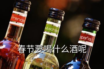 春節要喝什么酒呢