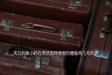 天元釣魚小藥在黑炕怎樣使用釣鯉魚用幾號藥酒