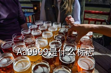 Aa9999是什么標志