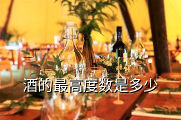 酒的最高度數是多少