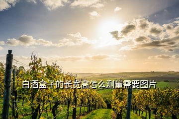 白酒盒子的長(zhǎng)寬高怎么測(cè)量需要圖片