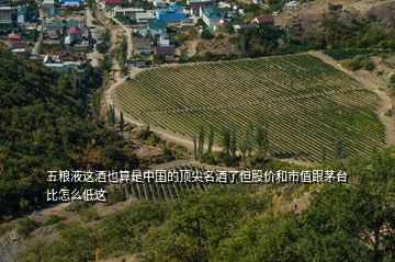 五糧液這酒也算是中國的頂尖名酒了但股價和市值跟茅臺比怎么低這