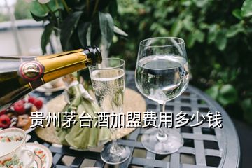 貴州茅臺(tái)酒加盟費(fèi)用多少錢(qián)