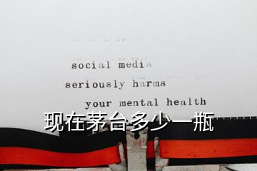 現在茅臺多少一瓶