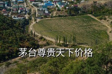 茅臺(tái)尊貴天下價(jià)格