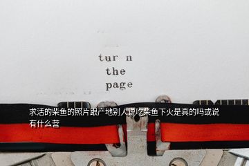 求活的柴魚的照片跟產地別人說吃柴魚下火是真的嗎或說有什么營