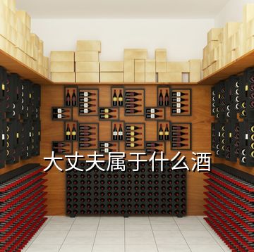 大丈夫屬于什么酒