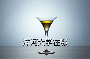 洋河大學在哪