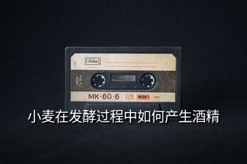 小麥在發酵過程中如何產生酒精