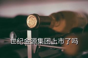 世紀金源集團上市了嗎