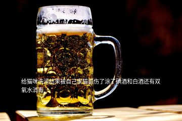 給貓咪洗澡結果被自己家貓抓傷了涂了碘酒和白酒還有雙氧水消毒