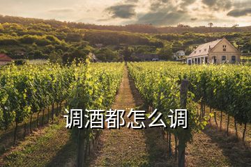 調酒都怎么調