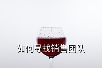 如何尋找銷(xiāo)售團(tuán)隊(duì)
