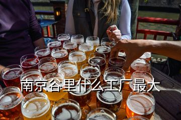南京谷里什么工廠最大