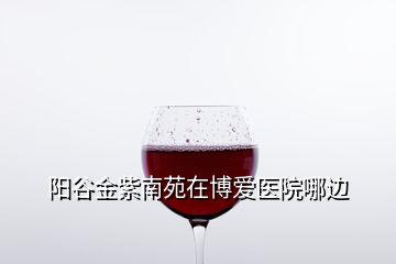 陽谷金紫南苑在博愛醫院哪邊