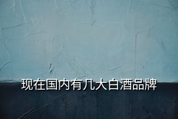 現在國內有幾大白酒品牌
