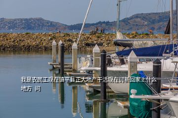 我是農民工現在鎮平縣正大地產干活現在討新回家上什么地方  問