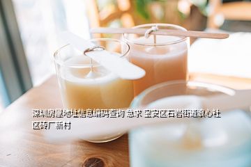 深圳房屋地址信息編碼查詢 急求 寶安區石巖街道浪心社區磚廠新村