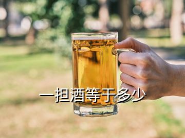 一擔酒等于多少