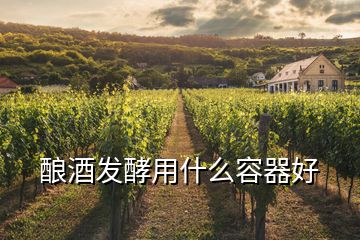 釀酒發酵用什么容器好