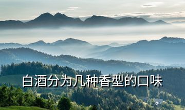 白酒分為幾種香型的口味