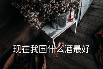 現在我國什么酒最好